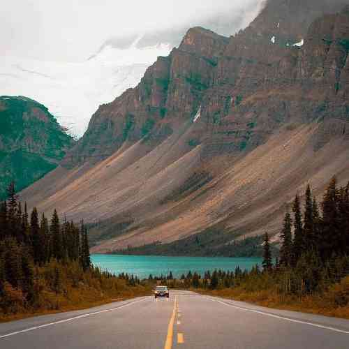 علی قاضی نظام تیر برنو بُر گلش شاخ اوریشم پلش